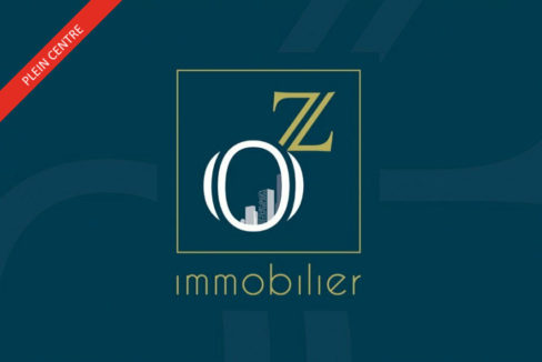 OZ Immobilier